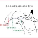(주)동의보감 이미지