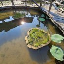 필봉전원민박 이미지