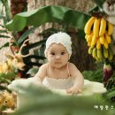 다나서비스 이미지