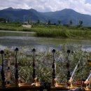 청도천3 이미지