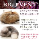 여우수제화