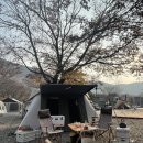 세븐일레븐(밀양밸리표충사점) 이미지