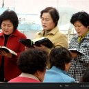 태영목장 이미지