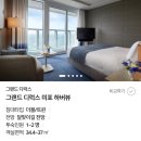 미포슈퍼 | 시그니엘 부산 숙박 후기_디럭스 미포하버뷰