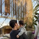 서천목장 | 2월 겨울, 두돌 아기랑 서천 국립 생태원 방문 (겨울 실내 나들이로 최고, 유모차 필수)