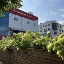 용화점 기아오토큐 이미지