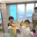 하버드앵무새카페 이미지