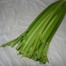 나가지농장 이미지