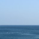 오이아 카페