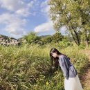풀스테이더네이쳐홍천Q | [ 홍천 펜션 추천 ] 모닥불이 있는 가람스테이 후기