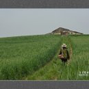 천북농장 이미지