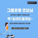 바디핏제이