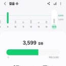 정자공원 이미지