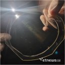 이에스피엔 이미지