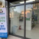 크린토피아무안오룡