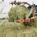 마로낙우회영농조합법인 이미지