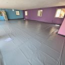 보라애견 이미지