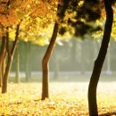 어느멋진날에 2 이미지