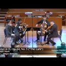 파파 하이든(현악4중주 Op.64 No.5 종달새 ) 이미지