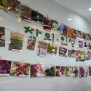 충주미덕중 이미지