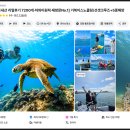 (주)터틀크루 | 하와이 거북이 스노쿨링 투어 복장?멀미? 준비물 추천 팁