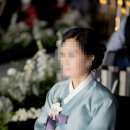 푸른하제 이미지