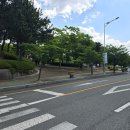 2024 울산 남구 반려동물 축제 [어서오시개 행복남구 펫스티벌] 랑이뽀기 울산애견동반축제 후기