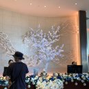 조이풀파크 스테이 | 괌 호텔 두짓타니 프리미어 오션뷰 프론트룸