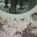 범지기마을10단지 버스정류장 | 오염도가 굉장히 심했던 범지기마을 10단지 세종시 이사청소 다녀왔습니다~