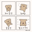 행운의 날