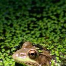 도은농장 이미지