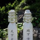 항월마을 Daum카페