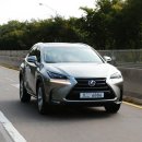 개 최고 이미지