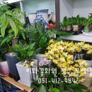 미화화원 이미지