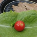 호동이 갈비 이미지