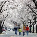 양산신-1022 이미지