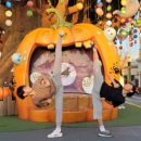 용인대마루한태권도장 이미지