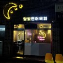 달빛연어육회 | [경산] 달빛연어육회 - 옥산동 육회, 연어 맛집