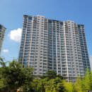 성모엔젤약국 이미지