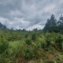 신흥보건진료소 이미지