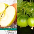 씨앗발전소 이미지