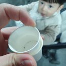 두돌 아이 간식으로 딱인 저염식 김부각. 박진수 부각 구매후기[내돈내산]