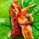 싱싱포크 이미지