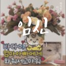 [임신일기] 난소 제거 수술 후 바로 임신! 강남차병원 후기