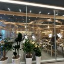 부송제일5 | 익산 부송동 샤브20 후기 리뷰 / 익산 샤브올데이와 비교한 객관적 시점