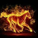 에버빌작은도서관 이미지