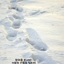 12월31일(일) 출석부/ 송구영신 이미지