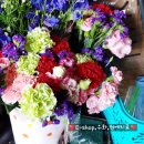 김포서초병설유치원 이미지