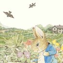 드로잉&수채화(미술) 이미지