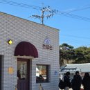 순 | 강릉크림커피맛집 초당순 | 강릉카페 초당순 카페에서 쪼꼬순 임자순 후기